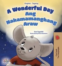 bokomslag A Wonderful Day (English Tagalog Bilingual Book for Kids)