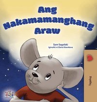 bokomslag A Wonderful Day (Tagalog Children's Book for Kids)