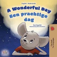 bokomslag A Wonderful Day (English Dutch Bilingual Book for Kids)