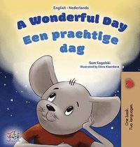 bokomslag A Wonderful Day (English Dutch Bilingual Book for Kids)