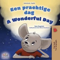 bokomslag A Wonderful Day (Dutch English Bilingual Children's Book)