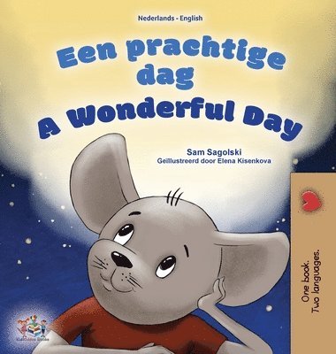 bokomslag A Wonderful Day (Dutch English Bilingual Children's Book)