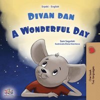 bokomslag A Wonderful Day (Serbian English Bilingual Children's Book - Latin Alphabet)