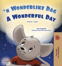 bokomslag A Wonderful Day (Afrikaans English Bilingual Book for Kids)