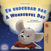 bokomslag A Wonderful Day (Swedish English Bilingual Children's Book)