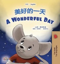 bokomslag A Wonderful Day (Chinese English Bilingual Children's Book - Mandarin Simplified)