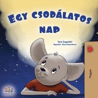 bokomslag A Wonderful Day (Hungarian Children's Book)