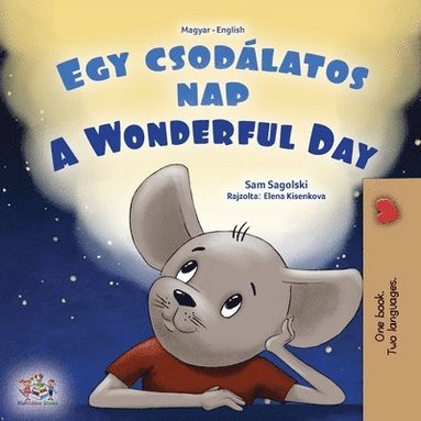bokomslag A Wonderful Day (Hungarian English Bilingual Book for Kids)
