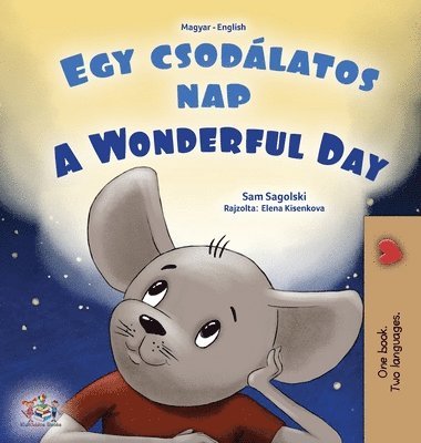 bokomslag A Wonderful Day (Hungarian English Bilingual Book for Kids)
