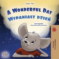 bokomslag A Wonderful Day (English Polish Bilingual Book for Kids)