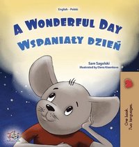 bokomslag A Wonderful Day (English Polish Bilingual Book for Kids)