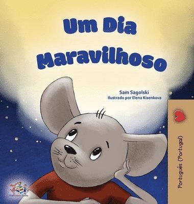 bokomslag A Wonderful Day (Portuguese Book for Children - Portugal )