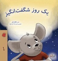 Sam Sagolski, Kidkiddos Books - A Wonderful Day (Farsi Children's Book), Inbunden