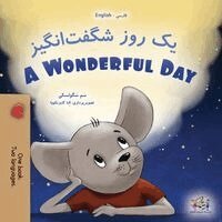Sam Sagolski, Kidkiddos Books - A Wonderful Day (Farsi English Bilingual Children's Book), Häftad