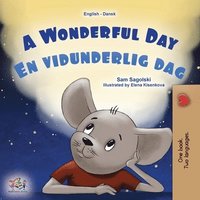 bokomslag A Wonderful Day (English Danish Bilingual Children's Book)