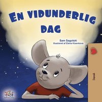 bokomslag A Wonderful Day (Danish Book for Children)