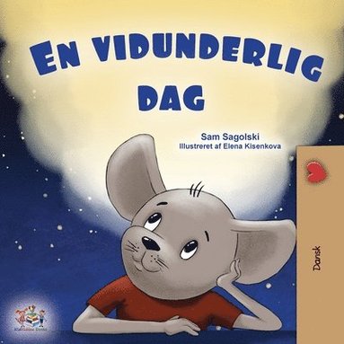 bokomslag A Wonderful Day (Danish Book for Children)