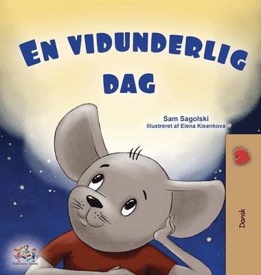 bokomslag A Wonderful Day (Danish Book for Children)