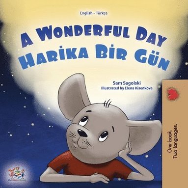 bokomslag A Wonderful Day (English Turkish Bilingual Children's Book)
