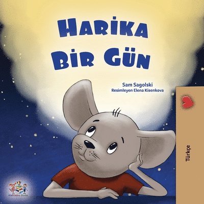 A Wonderful Day (Turkish Book for Children) 1