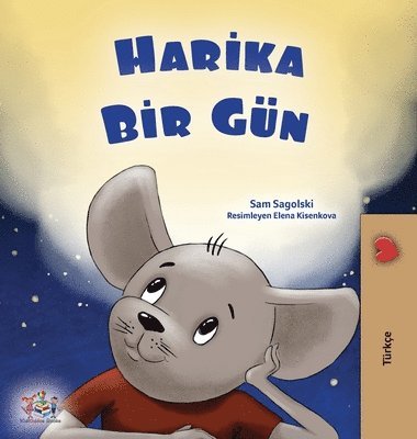 bokomslag A Wonderful Day (Turkish Book for Children)