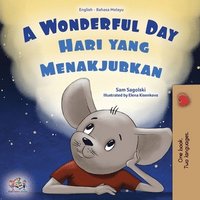 bokomslag A Wonderful Day (English Malay Bilingual Children's Book)
