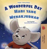 bokomslag A Wonderful Day (English Malay Bilingual Children's Book)