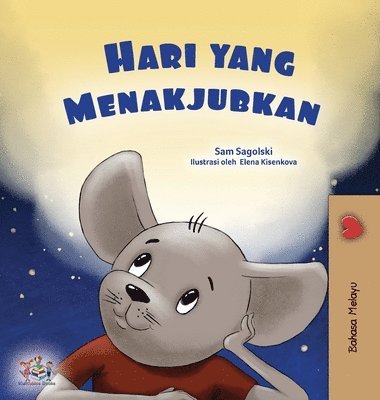 bokomslag A Wonderful Day (Malay Book for Kids)