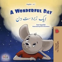 bokomslag A Wonderful Day (English Urdu Bilingual Children's Book)
