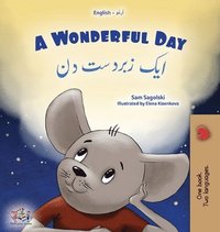 bokomslag A Wonderful Day (English Urdu Bilingual Children's Book)