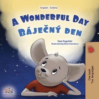bokomslag A Wonderful Day (English Czech Bilingual Children's Book)