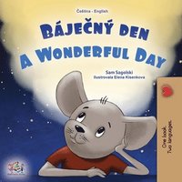 bokomslag A Wonderful Day (Czech English Bilingual Book for Kids)