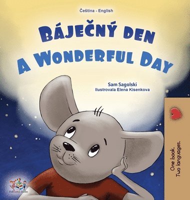 bokomslag A Wonderful Day (Czech English Bilingual Book for Kids)