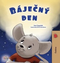 bokomslag A Wonderful Day (Czech Book for Children)