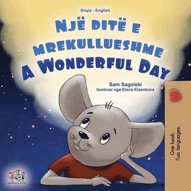 bokomslag A Wonderful Day (Albanian English Bilingual Book for Kids)