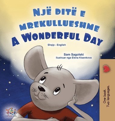 bokomslag A Wonderful Day (Albanian English Bilingual Book for Kids)