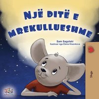 bokomslag A Wonderful Day (Albanian Book for Kids)