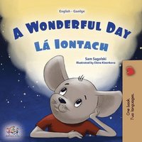 bokomslag A Wonderful Day (English Irish Bilingual Children's Book)