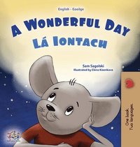 bokomslag A Wonderful Day (English Irish Bilingual Children's Book)