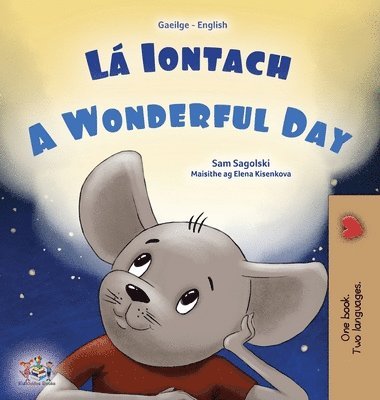 A Wonderful Day (Irish English Bilingual Book for Kids)