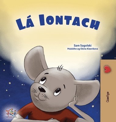 bokomslag A Wonderful Day (Irish Book for Children)