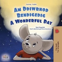 bokomslag A Wonderful Day (Welsh English Bilingual Children's Book)