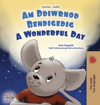 bokomslag A Wonderful Day (Welsh English Bilingual Children's Book)