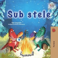 bokomslag Under the Stars (Romanian Children's Book)