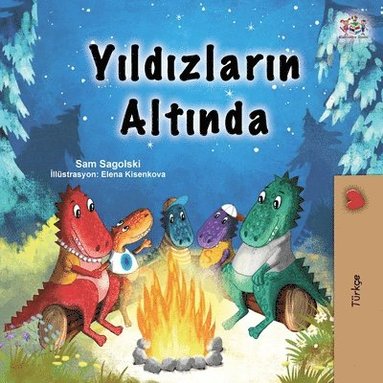 bokomslag Under the Stars (Turkish Children's Book)