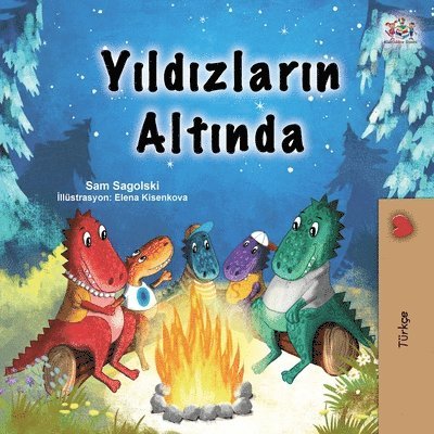 Under the Stars (Turkish Children's Book) 1