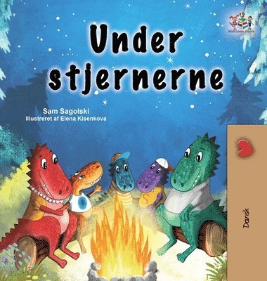 bokomslag Under the Stars (Danish Children's Book)