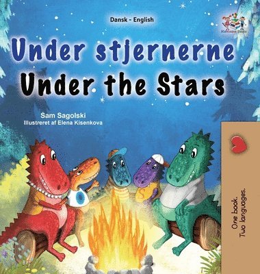 bokomslag Under the Stars (Danish English Bilingual Kids Book)