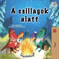 bokomslag Under the Stars (Hungarian Children's Book)