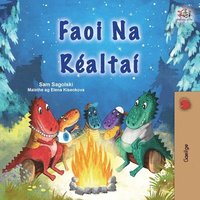 bokomslag Under the Stars (Irish Children's Book)